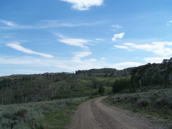 High country trail, UT.