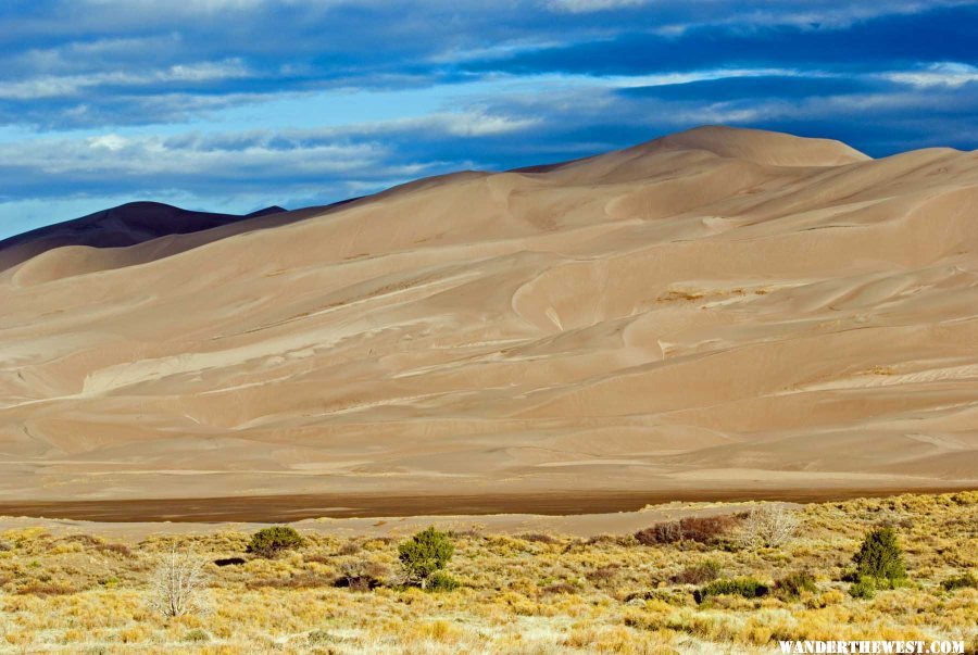 High Dune in Morning Light