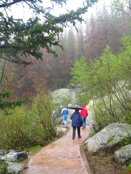 Hike around Bear Lake.