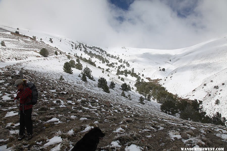 Hiking Ophir Pass