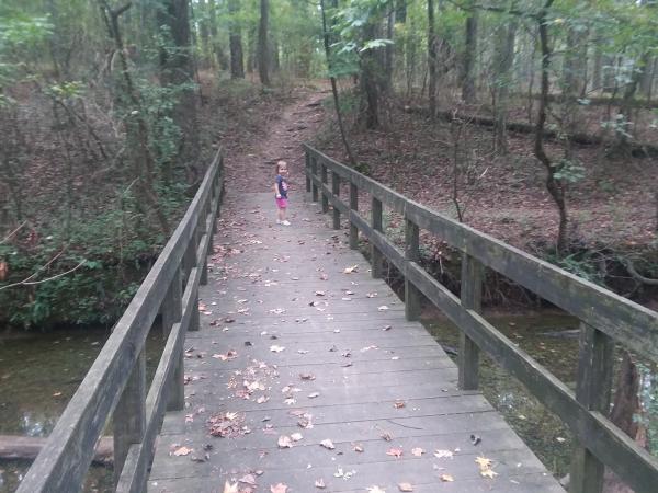 Hiking trail bridge