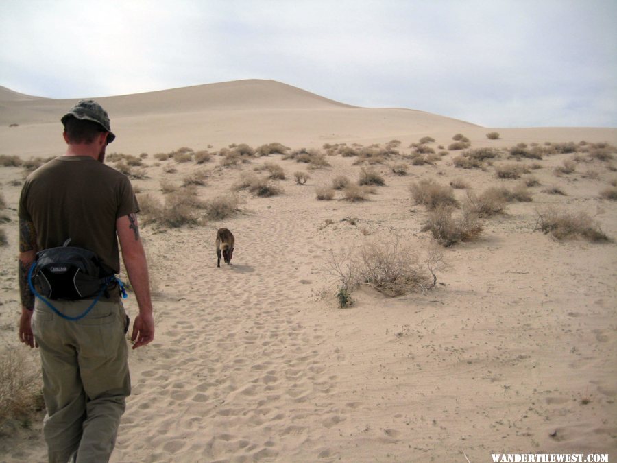 Hiking up the Dunes with Jade