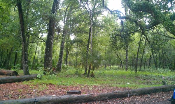 Hillsborough River SP, FL.