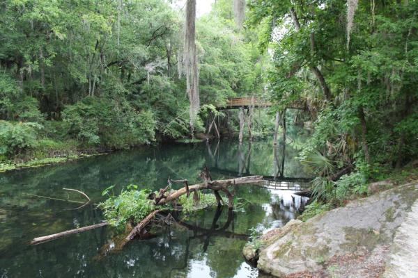 Hillsborough River State Park 4/20/13