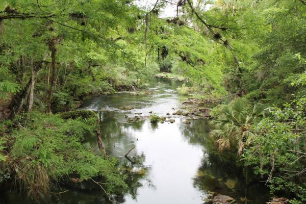 Hillsborough River State Park 4/20/13