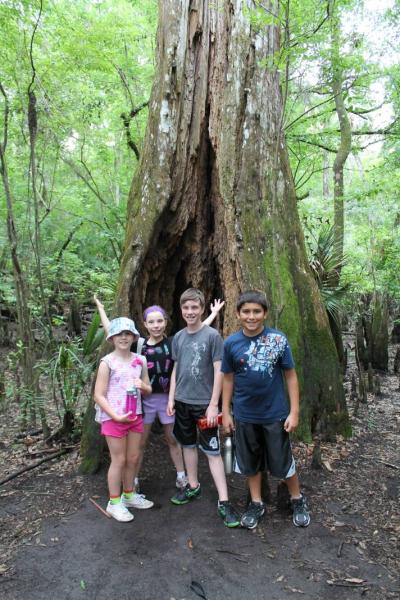 Hillsborough River State Park 4/20/13