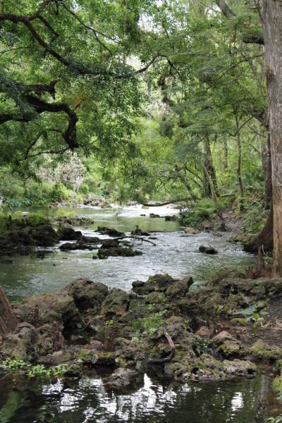 Hillsborough River State Park 4/20/13