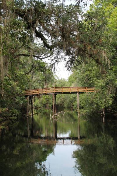 Hillsborough River State Park 4/20/13