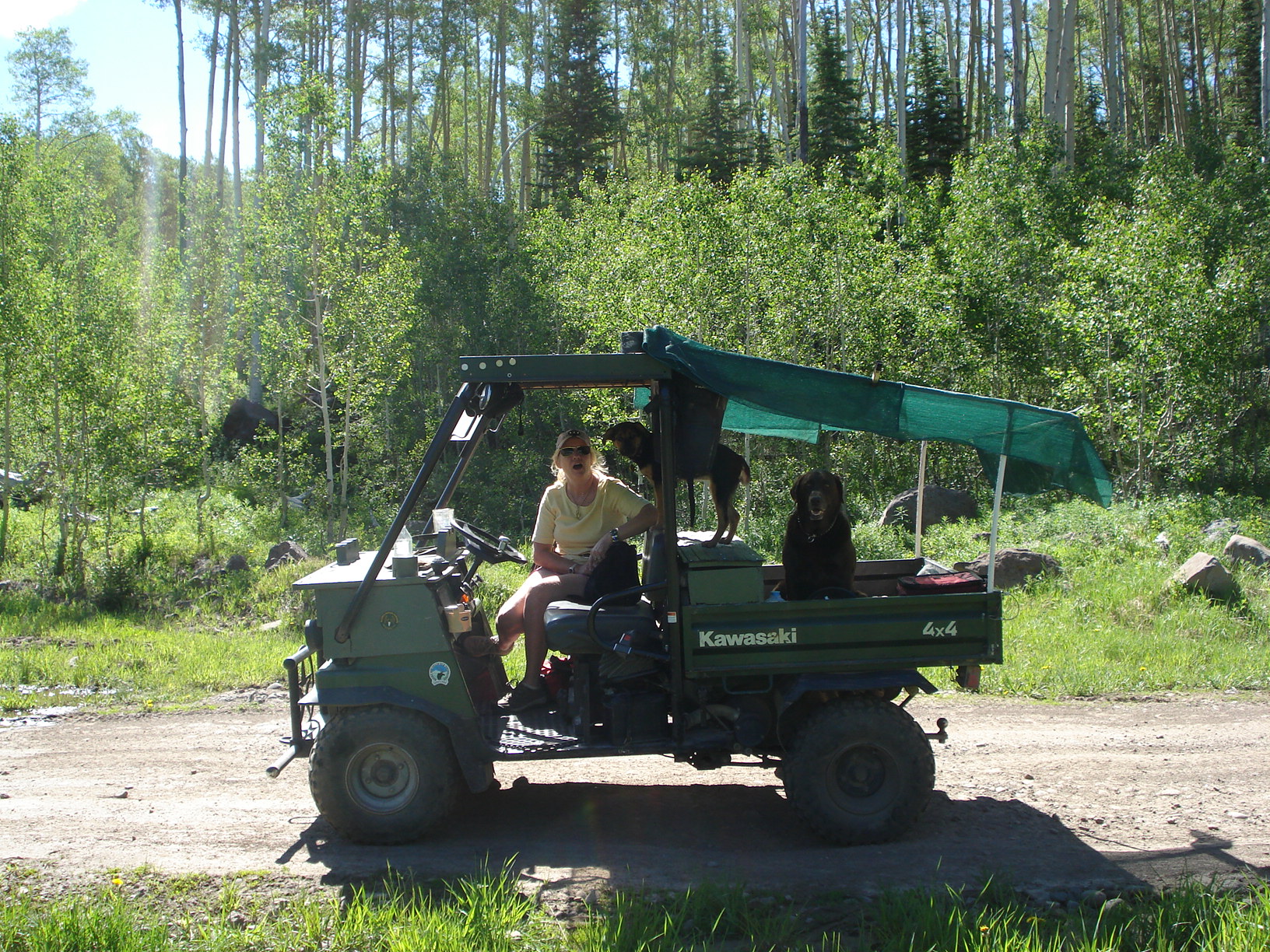 Hit'n the Trails at Grand Mesa National forest, CO.