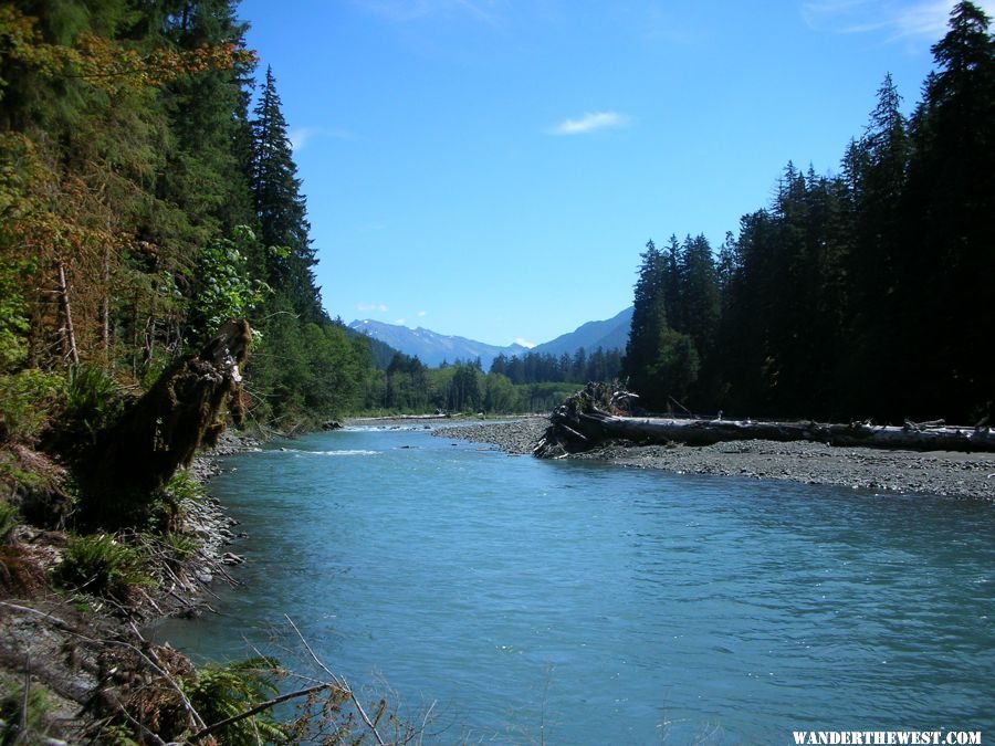 Hoh River Trail - August 2007