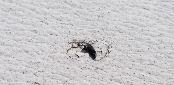 Hole in roof