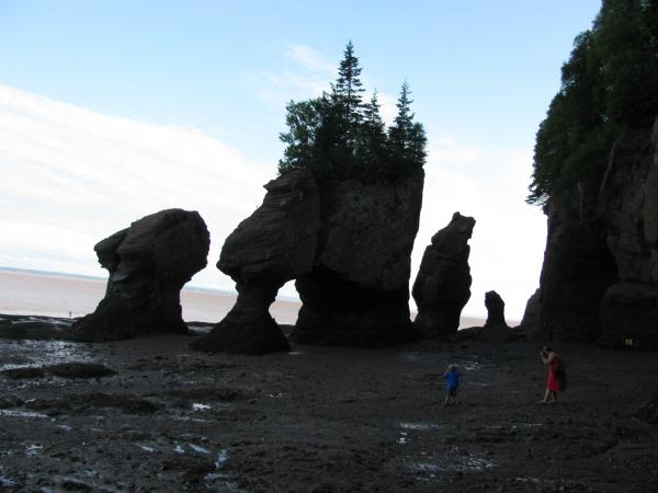 Hopewell Rocks, N.B. at low tide.  The tide rises 42' here.  Highest tides in the world.