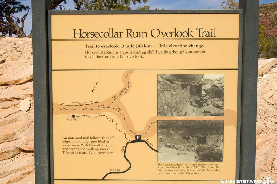 Horsecollar Ruin Overlook