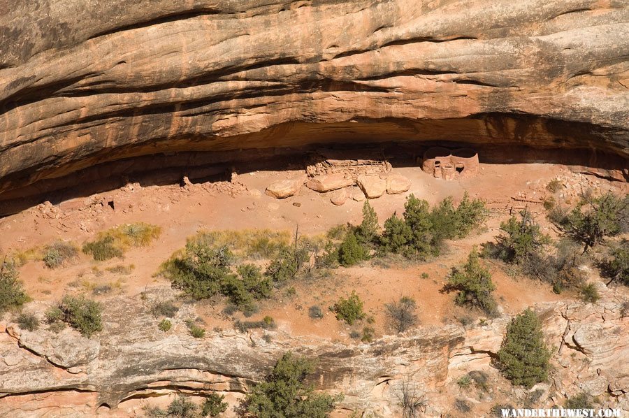 Horsecollar Ruin