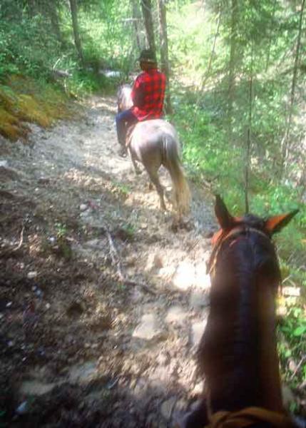 Horsing around really deep in British Columbia