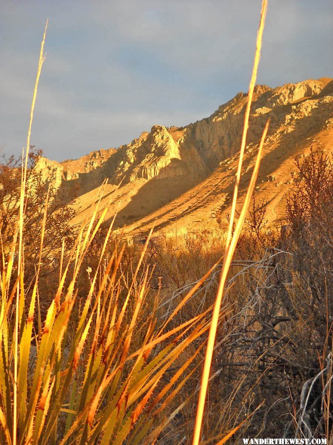 Hunter Peak (8365 ft) from start of Tejas Trail