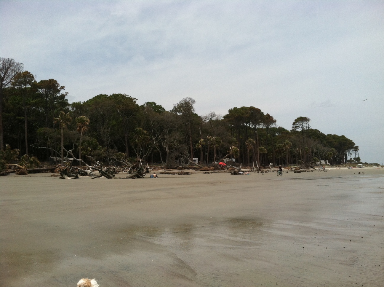 Hunting_Island_051120131