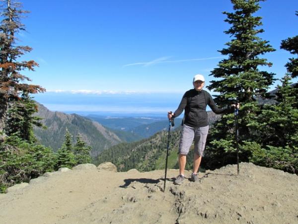 Hurricane Ridge Olympic National Park.