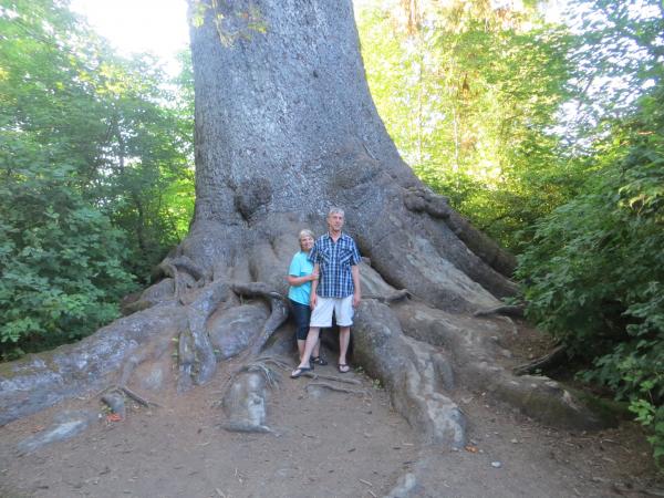 In front of the tree to give it some scale.