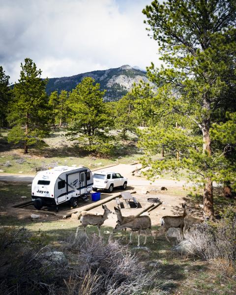 In Rocky Mountain NP, Colorado