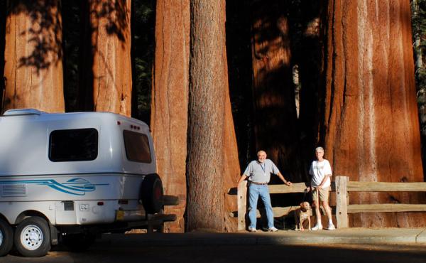 In Sequoia/Kings Canyon National Parks