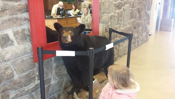 In side the state park shot close to the camp 471 pounds . Wow !!