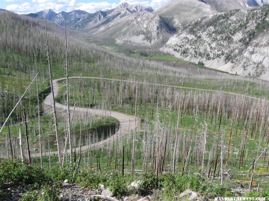 In the heart of Lewis & Clark NF, SE of Glacier NP