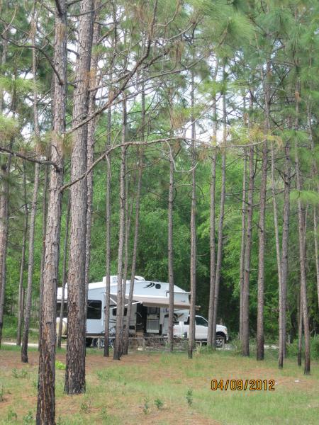 In the Pines at Wekiwa Springs SP