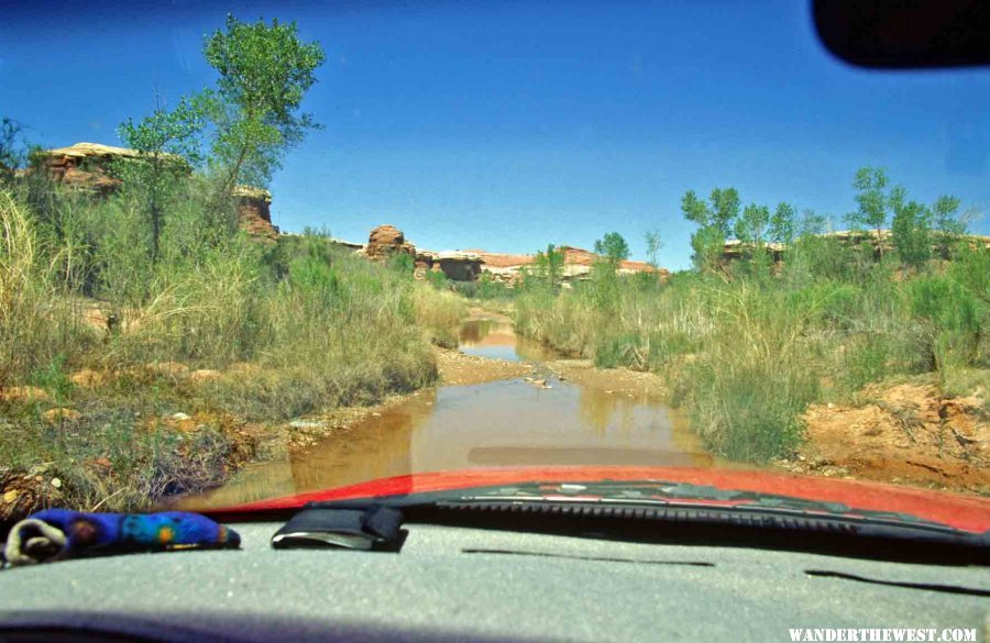 In the Salt Creek