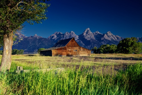 In the Shadow of the Tetons