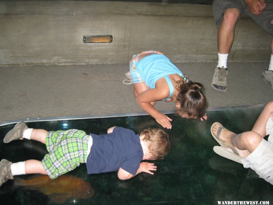 In the underwater tunnel.