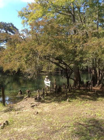 In_the_kayak_Manatee_Springs