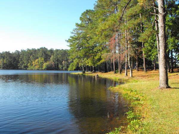 Indian Springs State Park, GA