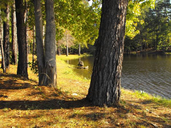 Indian Springs State Park, GA