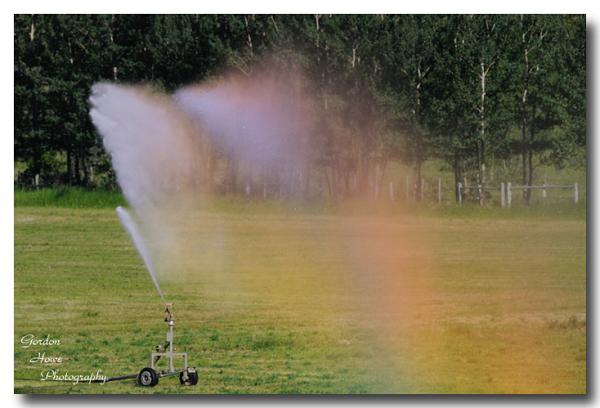 Irrigation Rainbow

sm DSC 7126