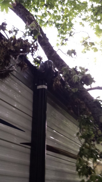 It's hard to tell from this shot but two of the smaller branches pushed the awning away from the rig and put two nice holes in the fabric.