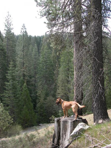 Jake searching for the "Possible Showers" later Sunday morning.