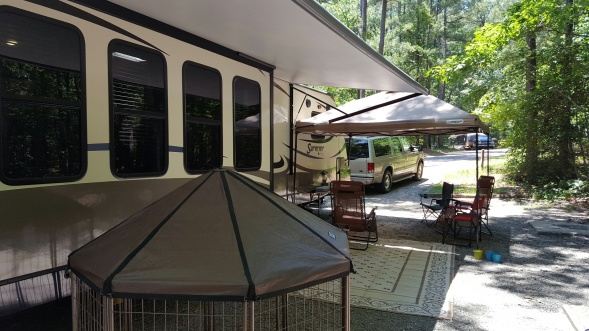 Jordan Lake Canopy 2