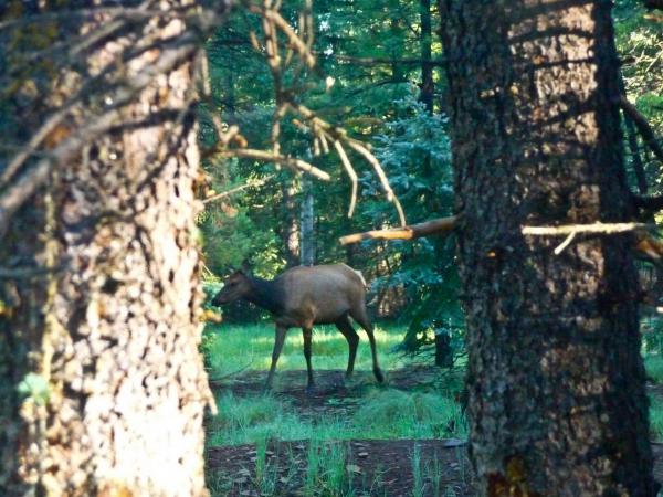 July 2010 - A few of the neighbors stop by to welcome us.