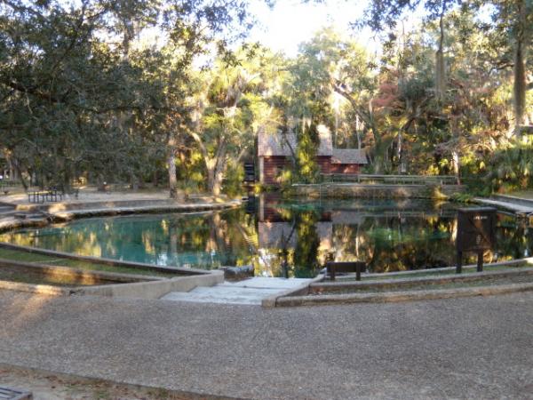 Juniper Springs