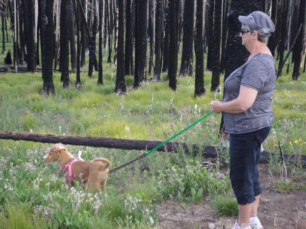 K.C. @ 3MO 3 WEEKS, checking out the flowers at 10,000' elevation.  Near South Fork, CO July 2016