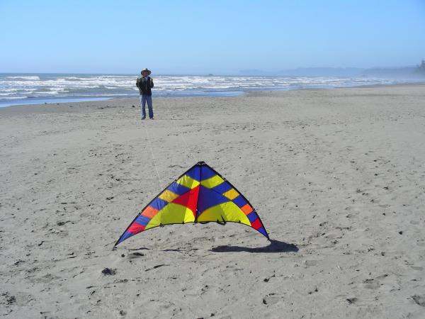 Kalaloch July 2012 (54)The beach, as usual, a great place to 'go fly a kite'