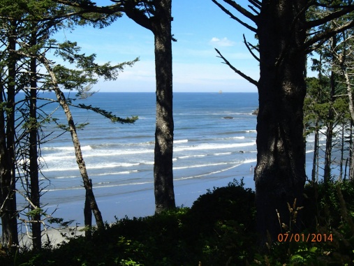 Kalaloch2