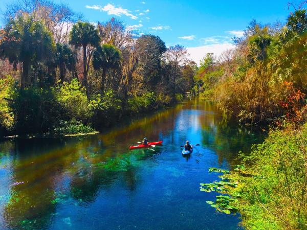 kayak silver springs