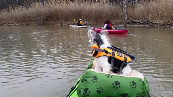 Kayaking