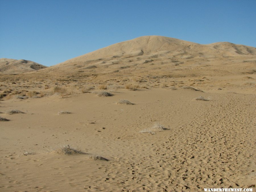 Kelso Dunes Trail