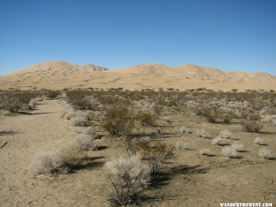 Kelso Dunes Trail1