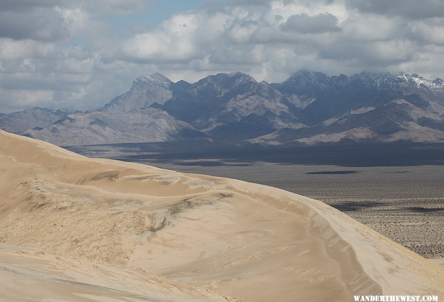 Kelso Dunes