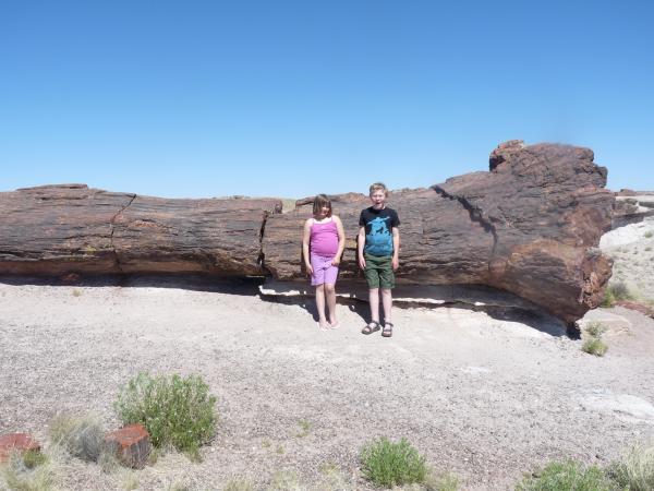 Kids in front of petrified tree inside Petrified Forest National Park - Holbrook, AZ