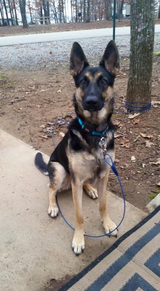 Kimber at Dripping SPrings State Park in OK